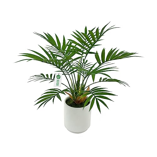 Artificial Palm Tree Plant, Potted Artificial Plant for Home Office Decoration, 12" Tall, Ships in White Ceramic Planter - size: 1ft