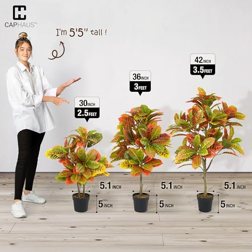 CAPHAUS 30 Inch Artificial Croton Tree Potted Plant - UV Resistant Faux Topiary Plant, Low Maintenance Realistic Indoor Outdoor Decor for Home, Office, Front Porch, Patio - size: 2ft 6in