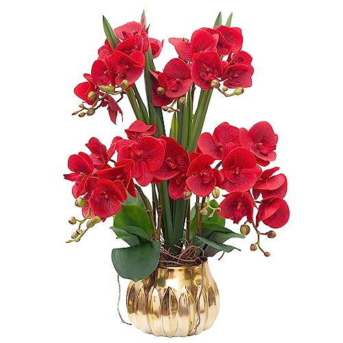 CXGS Artificial Orchid Flower Real Touch Faux Orchids in Ceramic Vase Large 22.9'' Fake Flowers Red Phalaenopsis Floral for Home Indoor Decor - color: Red- Golden (Large Pot)