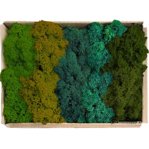 Preserved Reindeer Moss Natural Green DIY Kit Gardenning Art Wall Decor Florist Decor Easter Table Decor Wedding - color: Style-13, size: 1 lb