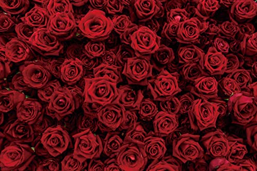 Laeacco Vintage Red Rose Flower Wall Backdrop 10x7ft Romantic Floral Flowers Photography Background Valentine Mother's Day Bridal Shower Wedding Happy Anniversary Party Decor Wallpaper Photo Studio - size: 10x7ft
