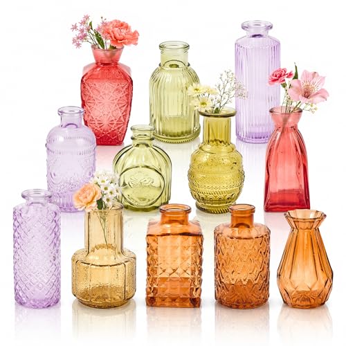 12 Pack Glass Bud Vase Set, Small Flower Vase Set Bud Vases for Wedding Centerpiece Table Decor, Vintage Small Vases for Room Home Dining Party Table Center Decor (Colorful Set, 12 Pack) - color: Colorful Set, size: 12 Pack