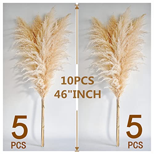 10 Stems 46" inch Dried Pampas Grass Decor Tall, Large Pompas Grass, Boho Neutral Home Decor Bouquet, Fluffy Pampass Grass for Floor Vase Wedding Floral Arrangements Wall Farmhouse Table Decor - size: 10PCS-46inch