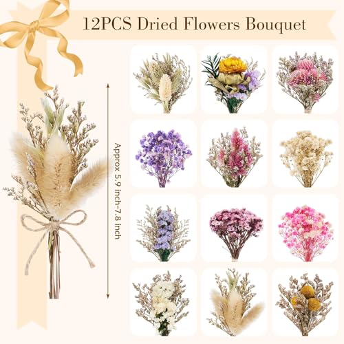 12/24 PCS Charming Dried Flowers Bouquet for Vase Various Dried Wildflowers with Stems Mini Handmade Wildflowers Natural Real Flowers Bulk Flowers Craft (Various Series, 12 PCS) - color: Various Series