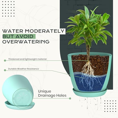 Utopia Home - Plant Pots Indoor with Drainage - 7/6.6/6/5.3/4.8 Inches Home Decor Flower Pots - Plastic Planters for Indoor Plants, Cactus, Succulents Pot (Aqua, Pack of 10) - color: Aqua, size: Pack of 10