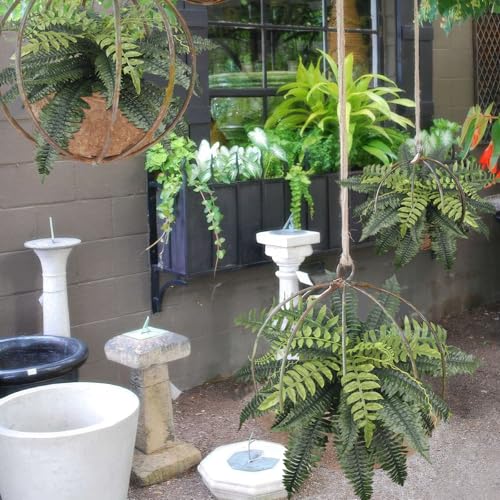 2 Pcs Artificial Boston Ferns for Outdoors UV Resistant Faux Fake Ferns 21" Artificial Plants Indoor for Patio Garden Outdoors Planter Farmhouse Windowsill Office Living Room Home Decor