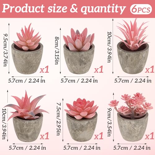 Woration 6Pcs Small Artificial Pink Succulent Set Fake Flocking Succulents Plants Potted Floral Arrangement for Shelf Office Home Desk Decorations - color: 6 Pack 6 Style Pink