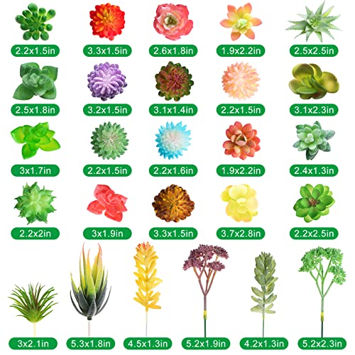 WILLBOND 50 Pcs Bulk Mini Artificial Succulents Plants Assorted Unpotted Realistic Plants Fake Textured Succulent Picks Realistic Plastic Cactus Stems for Succulent Garden Home Decor (Normal Style) - color: Normal Style