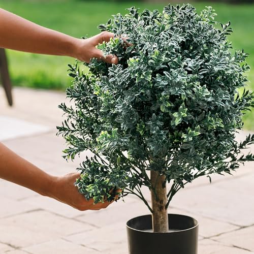 TRESIL 2 Pack Pre-Potted 25" Ball Shaped Boxwood Topiary- 16" Diameter - Plastic Pot - size: 25"