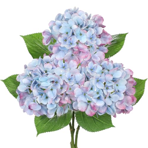 3Pcs Baby Blue Hydrangea Artificial Flowers 19.7 in Real Touch Faux Hydrangea Stems Silk Flowers with Stems Fake Blue Flowers Bouquet for Floral Arrangements Table Centerpieces Wedding Home Decor - color: Blue Mixed Pink