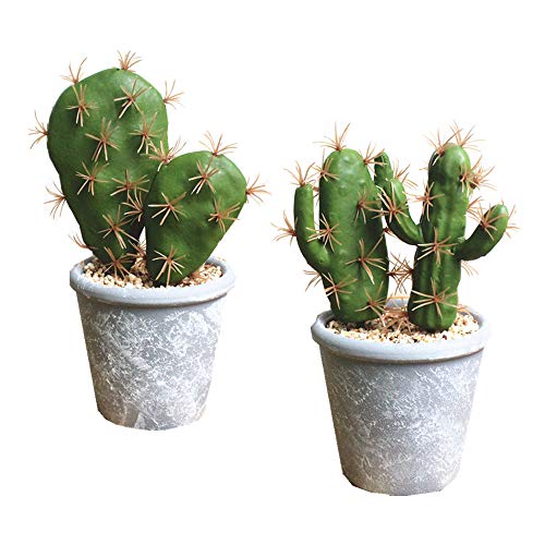 Fcooler Artificial Succulent Plants Faux Cactus Decorative Potted Fake Cacti with Pots Rock Sand Included Artificial Plants for Bathroom/Home Decor House Decorations(A Set) - size: A SET