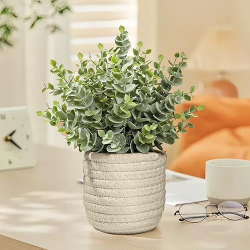 Hopewood Faux Plants, Fake Plants Eucalyptus Potted for Home Office Desk, Artificial Eucalyptus with a Weave Basket for Indoor Greenery Tabletop - color: Green Plant Style E