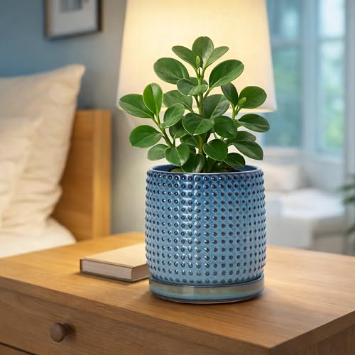 D'vine Dev 6 Inch Ceramic Beaded Stoneware Planter Pot - Flower Pot with Drainage Holes and Saucers for Indoor Succulent Plants or Flowers, Ocean Teal, 27-C-X-8 - color: Ocean Teal, size: 5.8 Inch