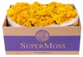 Super Moss (25151 Reindeer Moss Preserved, Mango, 3lbs - color: Mango, size: Appx. 3 lb Bulk Case