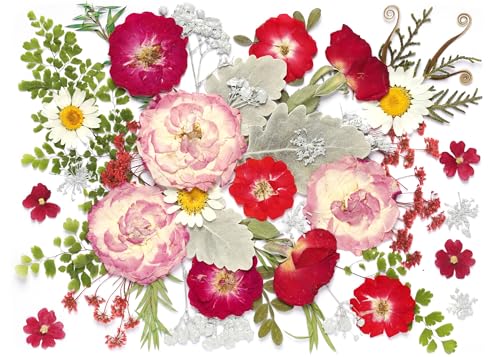 48 Pcs Mix Natural Dried Pressed Flowers for Cake Decorating, Real Dry Flower for Resin Jewelry Making, DIY Art Crafts (Rose) - color: Rose