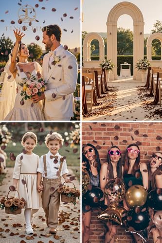 TINGE TIME 200pcs Silk Rose Petals Brown Flower Petals for Wedding, Flower Girl Basket, Aisle Runner, Romantic Dinner Centerpieces, Proposal, Party Confetti - color: Chocolate Brown