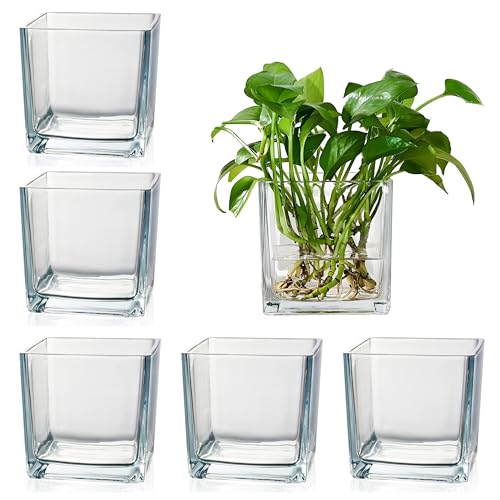 Set of 6 Square Glass Vases for Centerpieces – 4" x 4" x 4" Clear Short Vases, Flower Vase, Plant Terrariums, or Candle Holders for Wedding Centerpieces, Office Decor, Home Décor, Parties - size: 4in-6pcs