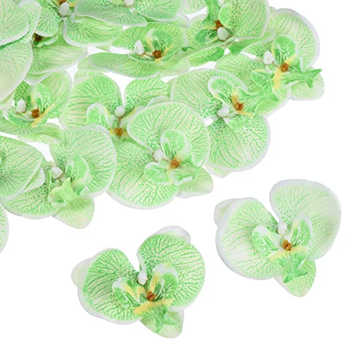 PATIKIL 7cm/2.8" Artificial Orchid Flower Heads, 20 Pack Silk Phalaenopsis Fake Butterfly Orchid Heads for Wedding Floral Bouquet Decor DIY Craft Making, Green - color: Green, size: 2.8"