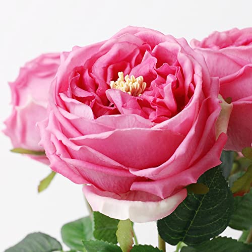 UKELER Real Touch Austin Roses 4 Pcs Artificial Flowers Rose Red Fake Silk Flowers for Home Decor Flower Arrangement Wedding Party Decoration - color: Rose Red