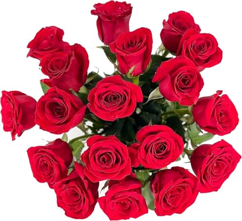18 Red Roses with Vase | Arabella Bouquets | Real Fresh Flowers for Delivery, Gift for Birthday Women, Congratulations, Anniversary, Thank You, Mother's Day