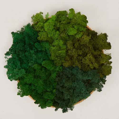 Preserved Reindeer Moss Natural Green DIY Kit Gardenning Art Wall Decor Florist Decor Easter Table Decor Wedding - color: Style-20, size: 1 lb