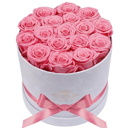 Prifroti 17 Flowers in a Luxury Suede Box, Birthday Gifts for Women, Preserved Flowers, Mothers Day Roses Gift for Mom, Light Pink - color: Light Pink, size: 17 Roses