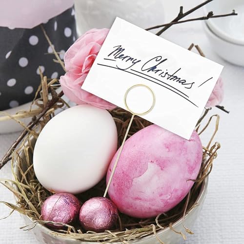 H&W 12''L Golden Ring Loop Round Shape Card Holders 40PCS Floral Picks Clips for Wedding & Flower Arrangements, DIY Craft Wire Clip Table Card Holders Note Photo Picture Memo Holder Cake Topper (Ring) - color: Ring