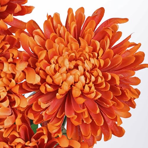 Briful 6 Pcs Burnt Orange Artificial Mums for Outdoors Fall – 25.6’’ Long Stem Faux Chrysanthemums, Large 6’’ Silk Fall Flowers for Wedding Bouquets, Centerpieces, Porch Décor, Indoor Home Decoration - color: Burnt Orange
