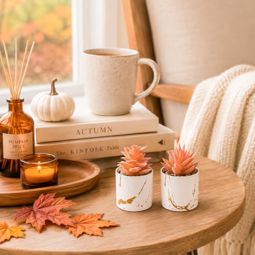 Der Rose Set of 2 Fall Artificial Succulent Plants, Mini Fake Succulents, Fall Decorations for Office Desk Bathroom Shelf Bedroom, Thanksgiving Decor - color: 2-orange