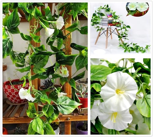Artificial Morning Glory Flower Vines, Fake Hanging Plants Silk Garland Ivy Faux Green Leaves Vine Decoration for Home Bedroom Wedding Party Garden Wall Fence Stairway Baskets Decor White 2 Pack - color: Morning Glory Vines - White 2 Pcs