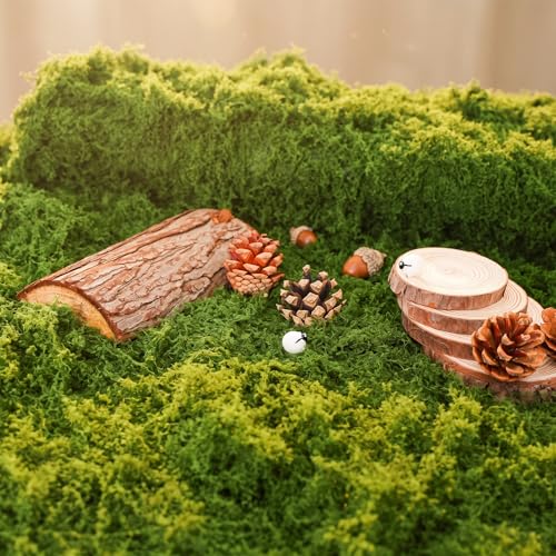 Bupelo Fake Moss Rug Artificial Moss 19.7" x 39.4" Faux Moss for Crafts Like Fairy Garden Accessories, Plants Indoor, DIY Enchanted Forest Decor, Wedding Table Runner Party Decorations (50x100cm) - size: 50cm*100cm
