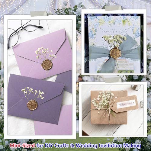 56Pcs Babys Breath Mini Dried Pressed Flowers for Crafts, Real Natural Flat White Dry Flowers Bulk for DIY Wedding Invitation, Resin Art, Card, Bookmark, Scrapbook, Jewelry, Frame, Candle, Soap Making - color: White Baby's Breath 56pcs