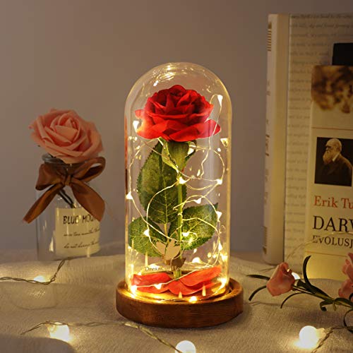 Beauty and the Beast Rose, Mothers Day Forever Preserved Flower Rose Gifts for Mom, Birthday Gift for Women, Light Up Rose in Glass Dome, Eternal Rose Flower Gifts Girlfriends for Wife - color: Brown Base