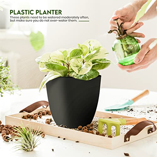 Utopia Home - Plant Pots Indoor with Drainage - 7/6.6/6/5.3/4.8 Inches Flower Pots for Indoor Planter - 5 Pack Plastic Planters - Ideal for Stocking Stuffers or Home Christmas Decorations - Black - color: Black, size: Pack of 5