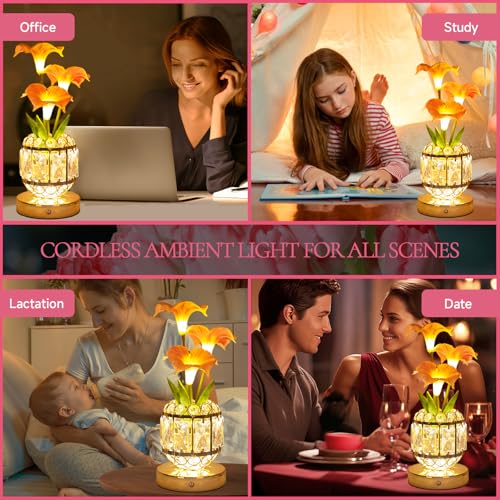 Flower Table Lamp, 3-Color Dimmable Artificial Flowers Night Light, Rechargeable Cordless Small Desk Lamp, Morning Glory with Crystal Vase for Party Date Home Decoration (Pink - Morning Glory) - color: Pink - Morning Glory