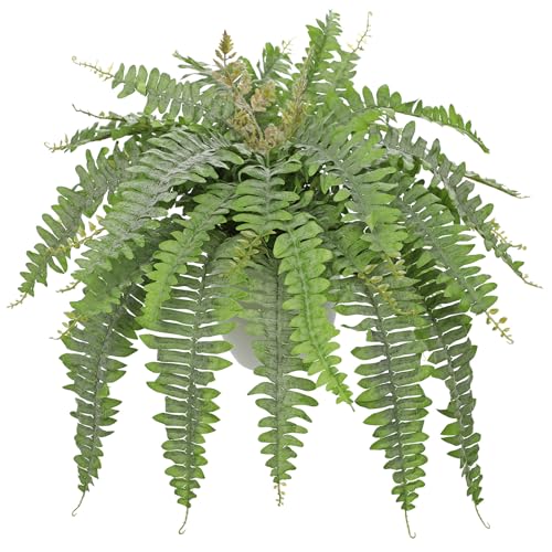 Hollyone Artificial Fern Plants in White Pot 25.5" Medium Artificial Boston Fern 31 Leaves for Outdoors & Indoor Faux Potted Plants Fake Ferns Bush Plant Patio Garden Farmhouse Porch Decor Dusty Green - color: White Pot - Dusty Green Medium