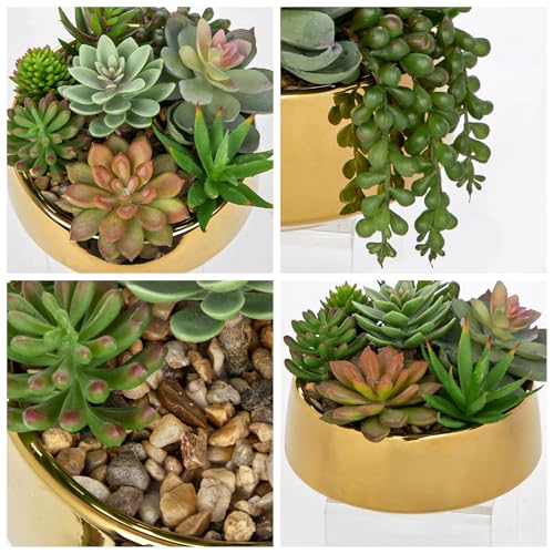 DILATATA Artificial Succulent Plants in Pot 5.5 Inch Fake Succulents Arrangement Potted Plant in Gold Ceramic Planter Bowl for Home Office Desk Shelf Living Room Bedroom Bathroom Decor - color: Gold Ceramic#style 2