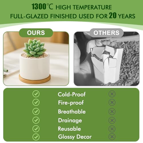ZOUTOG Succulent Pots 3.1 Inch,6 Pack Succulent Planters,Small Pots for Plants with Drainage and Tray,White Ceramic Flower Planters for Indoor Plants,Home,Office,Desk - size: 6 Pack
