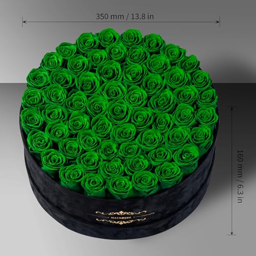 Gifts for Women – NATROSES 60 Preserved Roses in Luxury Black Velvet Box, Preserved Flowers for Delivery Gift for Her, Elegant Rose for Birthday, Mother’s Day, Christmas (Forest Green) - color: Forest Green, size: 60 Roses