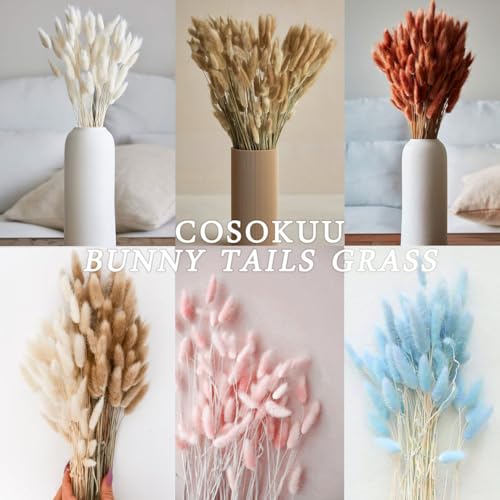 Bunny Tails Dried Flowers 100pcs Dried Pampass Grass Decor Bunny Tail Floral Stems 17 Inch Dried Flowers for Boho Decor Home Wedding Decoration Plants (Light Pink) - color: Light Pink
