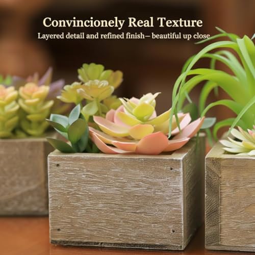 Artificial Succulents Indoor, Set of 3 Mini Potted Greenery in Rustic Wood Planters, Tabletop Accent for Office, Bathroom Shelf, Home Decor - color: Organic
