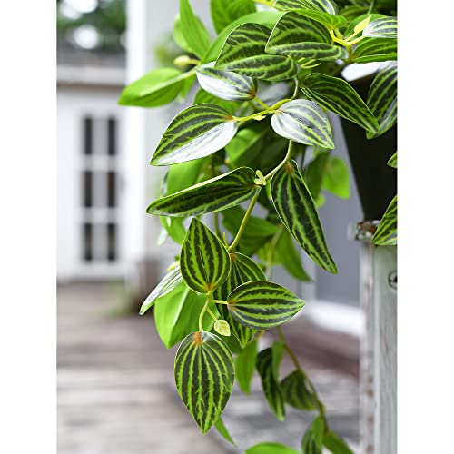 FiveSeasonStuff Real Touch Artificial Hanging Plant Watermelon Peperomia Home Decor 2 Stems - color: Hanging Watermelon Peperomia Plant