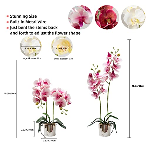 CXGS Artificial Orchid Flowers Light Pink Faux Orchids with Ceramic Vase Vivid Fake Phalaenopsis Flower Arrangement Gorgeous Artificial Plants for Wedding Party Exhibition Center Home Decor - color: Light Pink- Silver