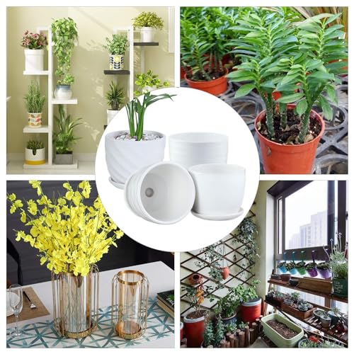 sietpoek Plant Pots - 4.7 Inch Cylinder Ceramic Planters with Connected Saucer, Pots for Succuelnt and Little Snake Plants, Set of 4, White - size: 4.7 Inch