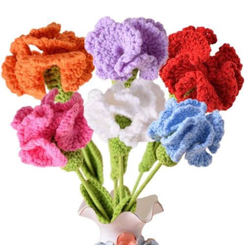 6Pcs Handmade Carnation Crochet Flower Bouquet, Completed Carnations Artificial Flower, Carnation Flower Wedding Bouquet (6 Colors) - color: 6 Colors
