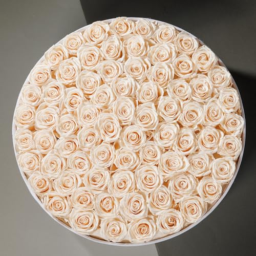 Prifroti 75 Preserved Roses in Suede Box – Luxury Rose Flower Arrangement, Preserved Flowers Gifts for Women, Wife or Mom – Birthday, Anniversary, Valentine’s Day, Mother's Day (Champagne) - color: Champagne, size: 75 Roses