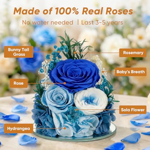 Preserved Rose in Glass Angel Figurine, for Mom/Wife/Grandma, Forever Flowers Rose Anniversary, Graduation or Birthday Gifts for Women Her - color: Blue