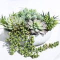 Winlyn 9" Artificial Succulent Arrangement Succulent Plants in Gray Round Planter Faux Potted Succulents for Home Office Bedroom Kitchen Bathroom Table Centerpiece Windowsill Shelf Mantel Decor