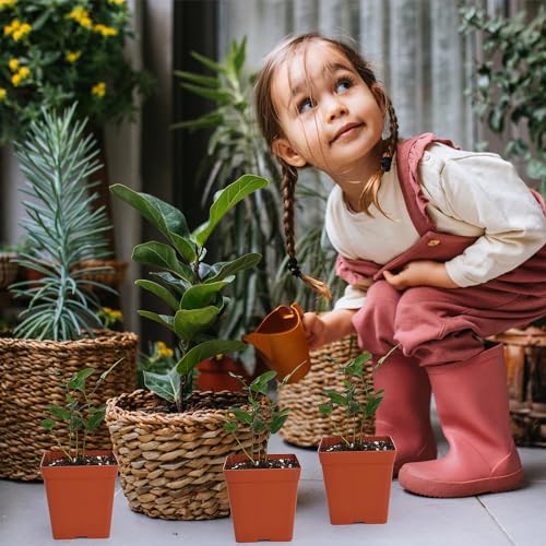 June Fox 100 Pack Red Square Nursery Pots with Drainage Holes 3.3 Inches Flexible Plastic Seedling Pots Square Pots for Plants, Succulent, Flower, with Plant Labels - color: Red