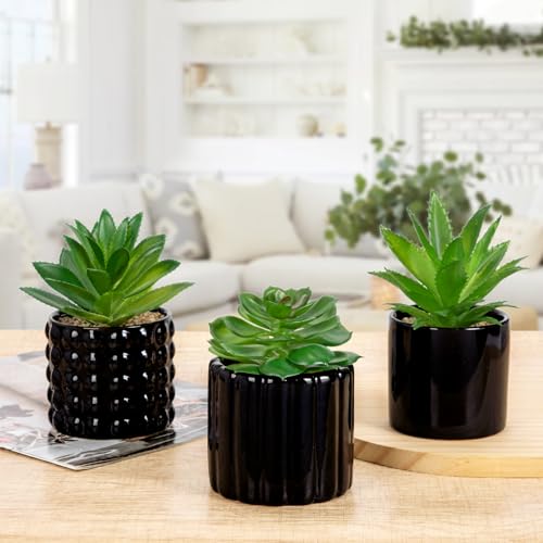 Briful Succulents Plants Artificial in Black Ceramic Pots (Set of 3), Small Fake Plants for Home Office Desk Decor – Modern Mini Potted Succulents for Bathroom, Bedroom, Living Room Table, Shelf - color: Black